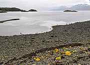 Bahia Mejillones
