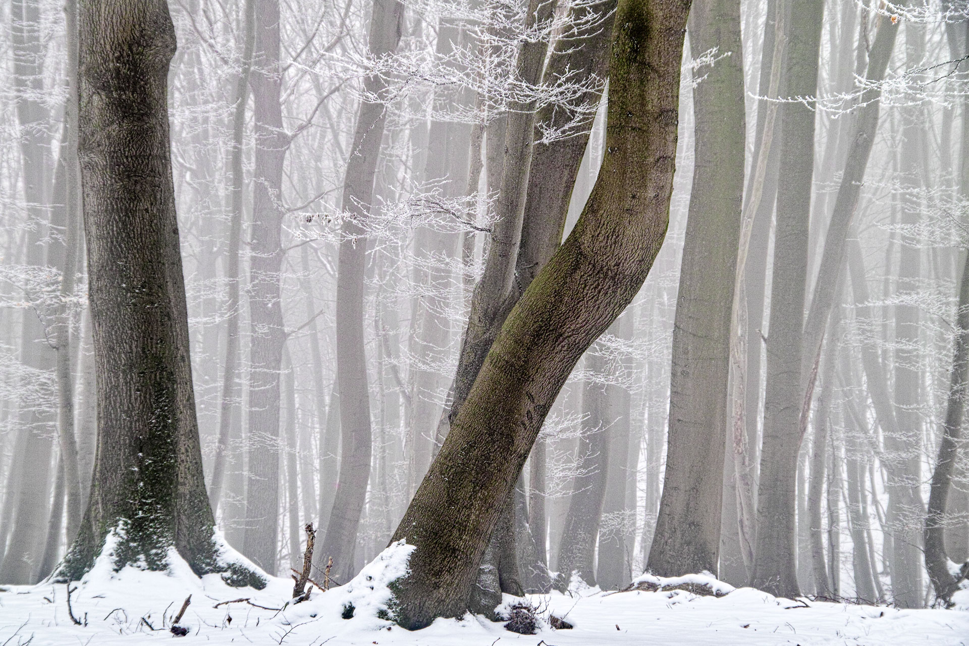 Eifel_SDI_0473.jpg
