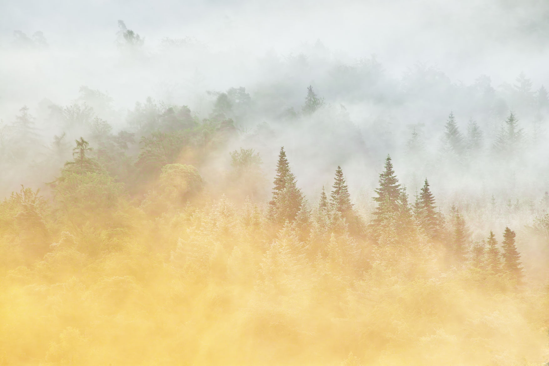 _DQ_1099_6-Bearbeitet.jpg