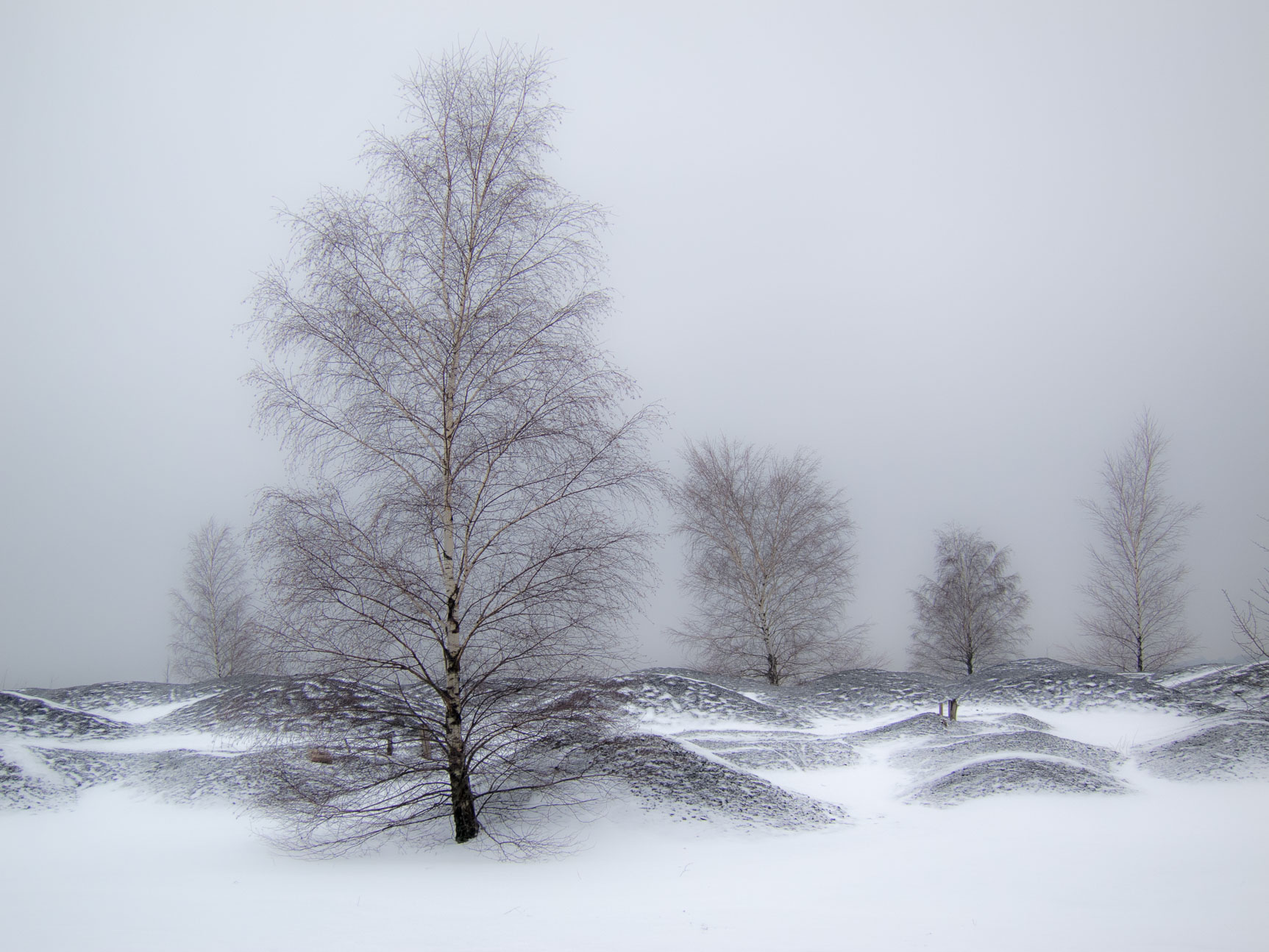 Halde_Lydia-1300.jpg
