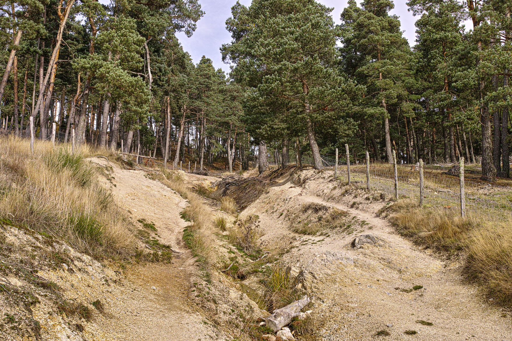DP2M0933-2.jpg