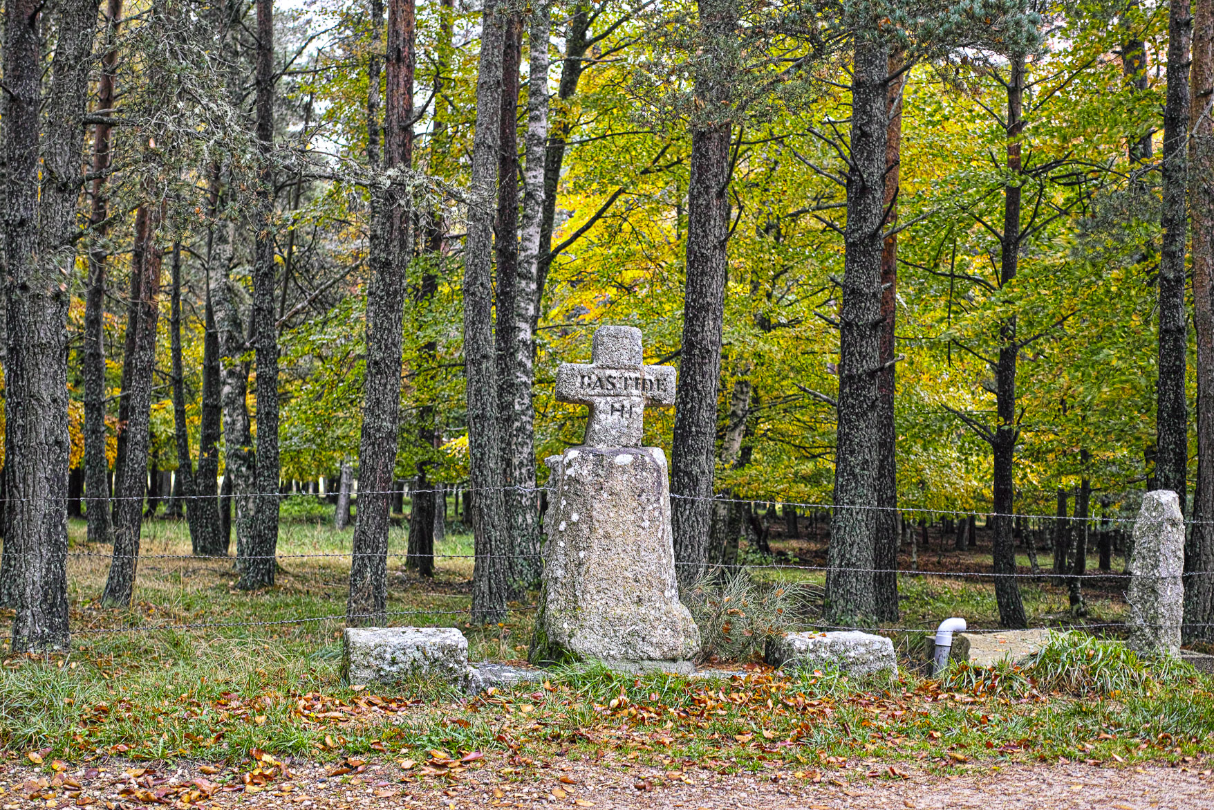 DP2M0993-2.jpg