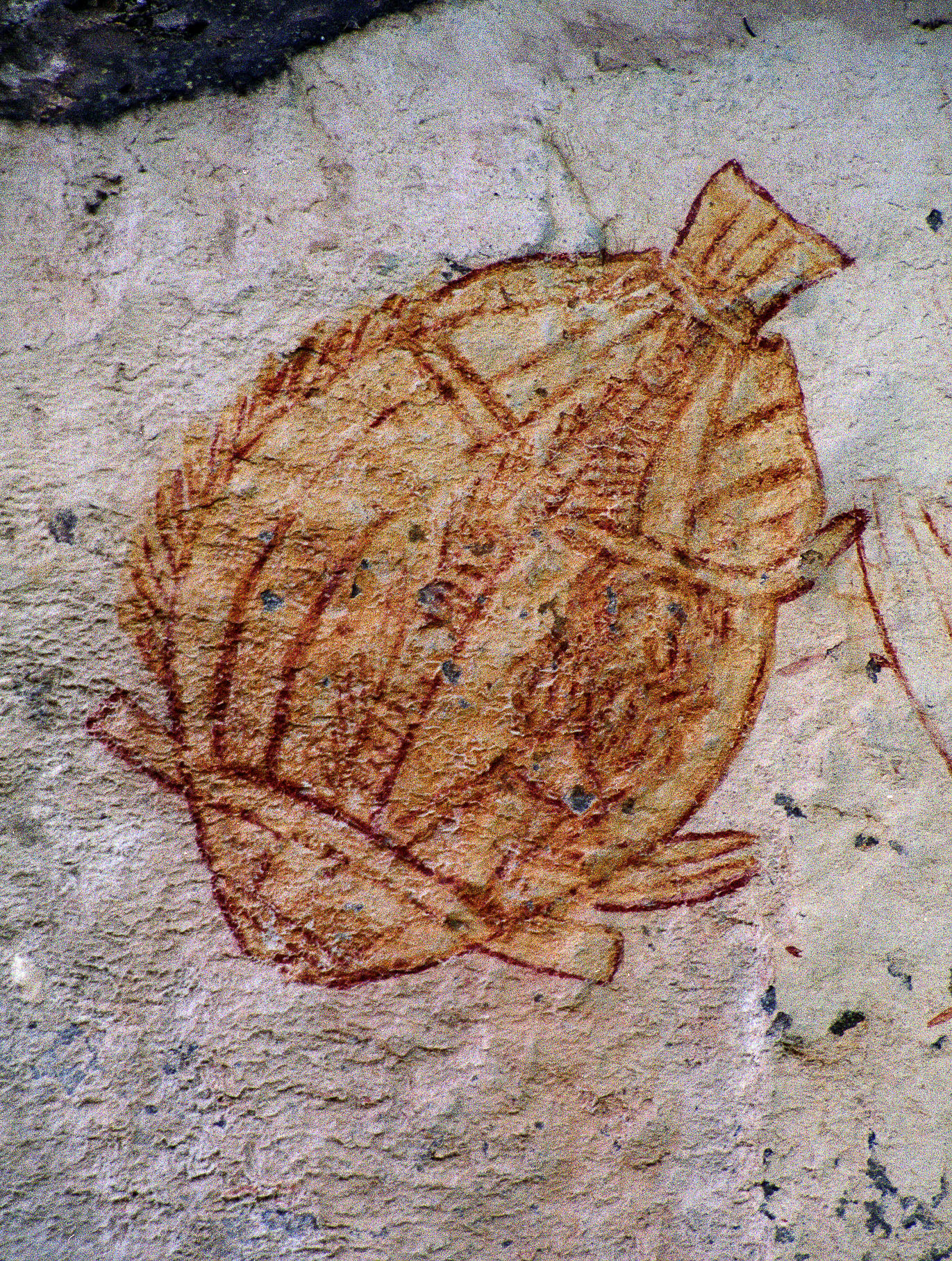 Fisch2.jpg