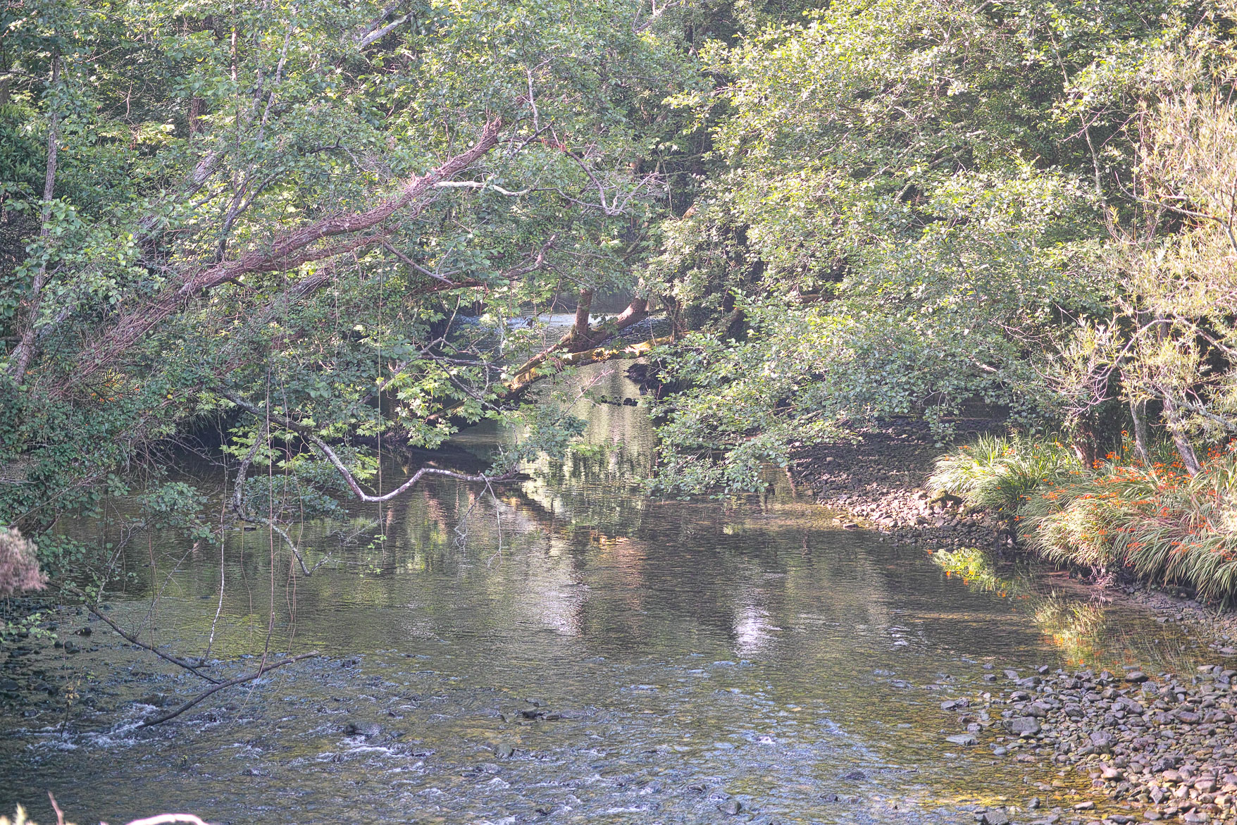 DP3M_Cam25_316.jpg