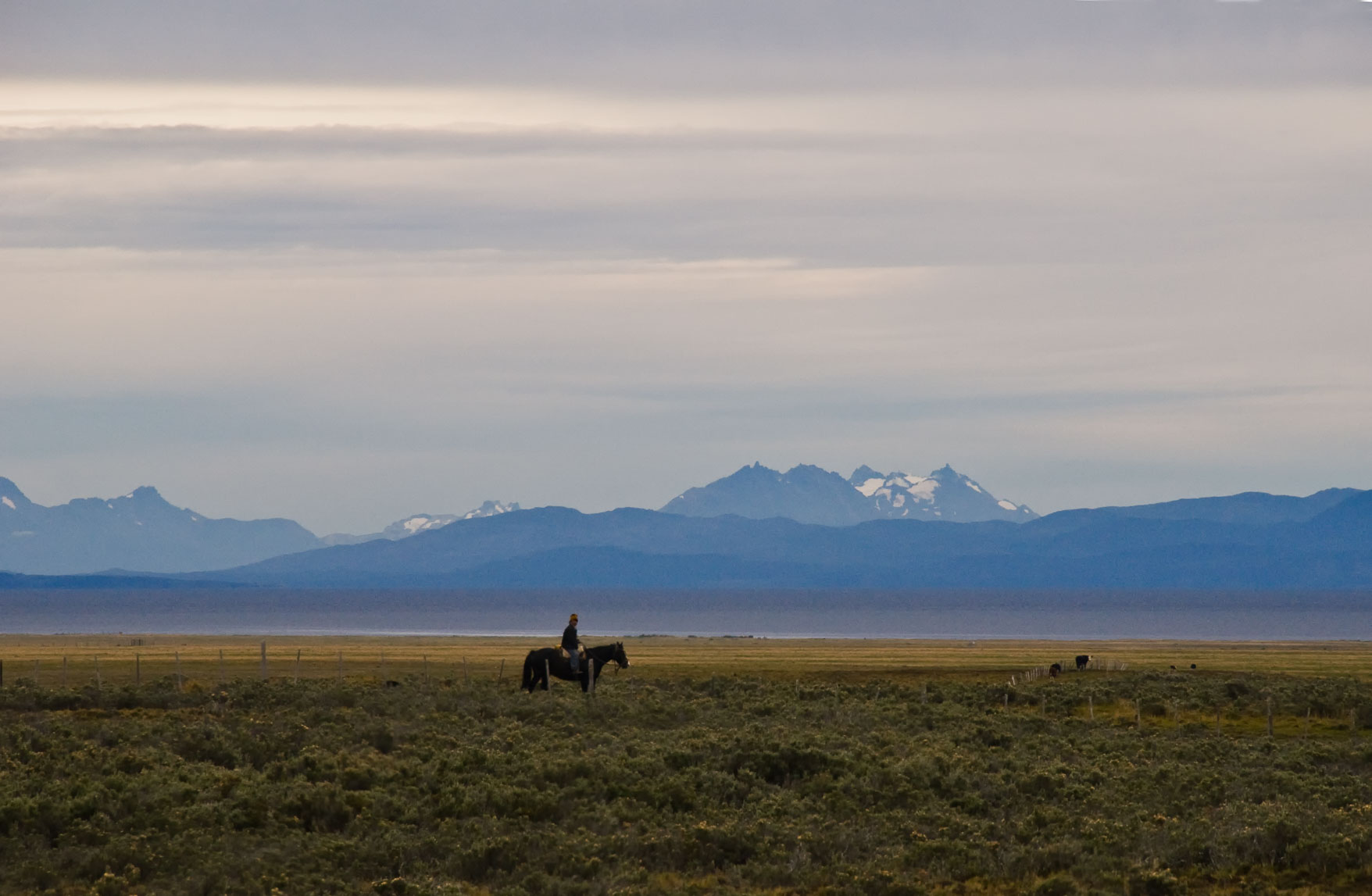Chile-2742.jpg