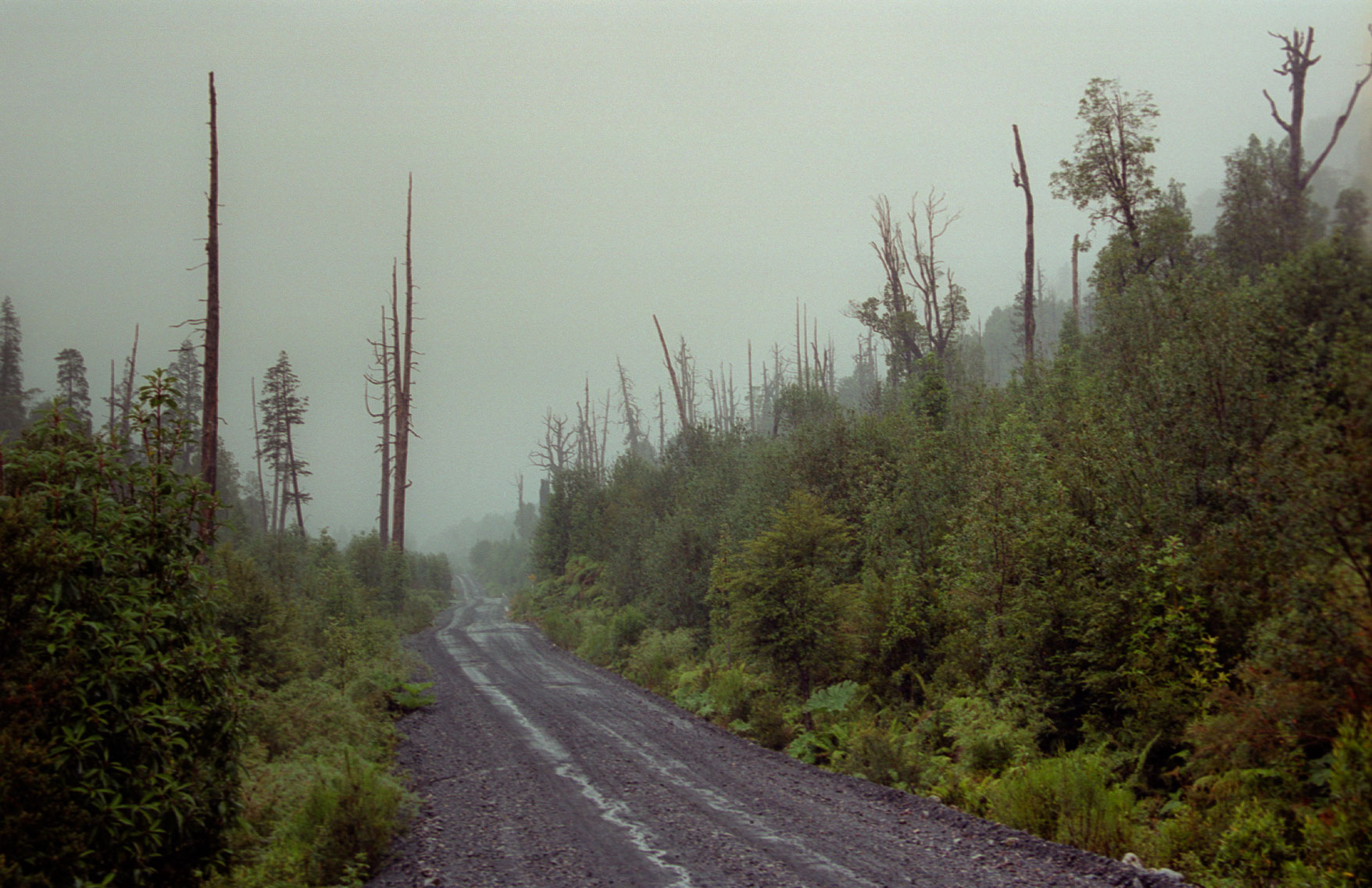 carretera.jpg