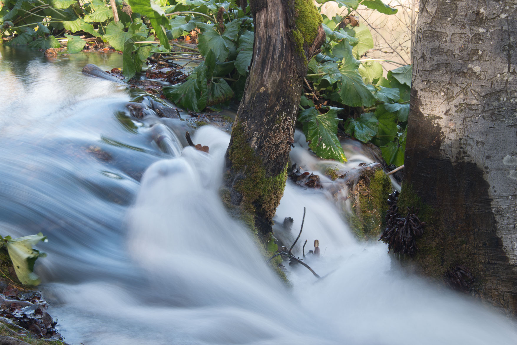 Plitvice-35631.jpg