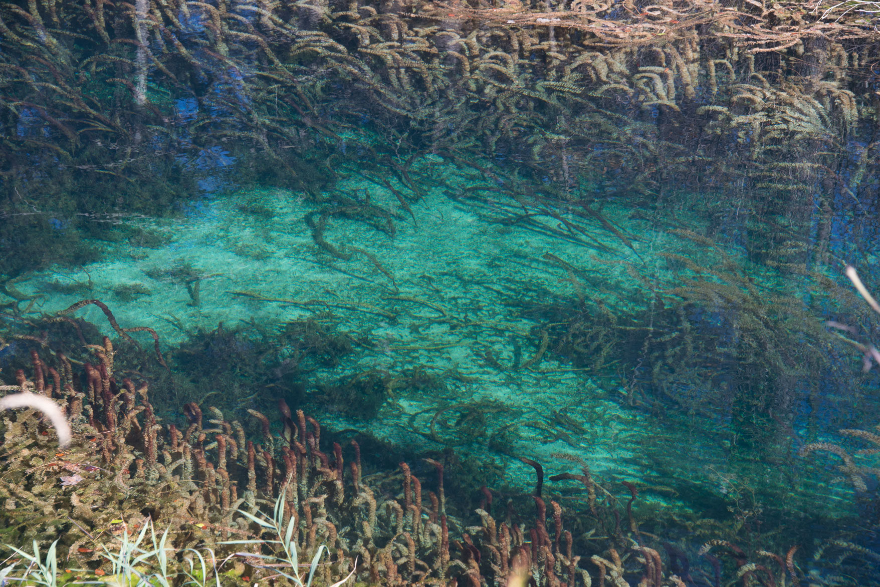 Plitvice-36225.jpg