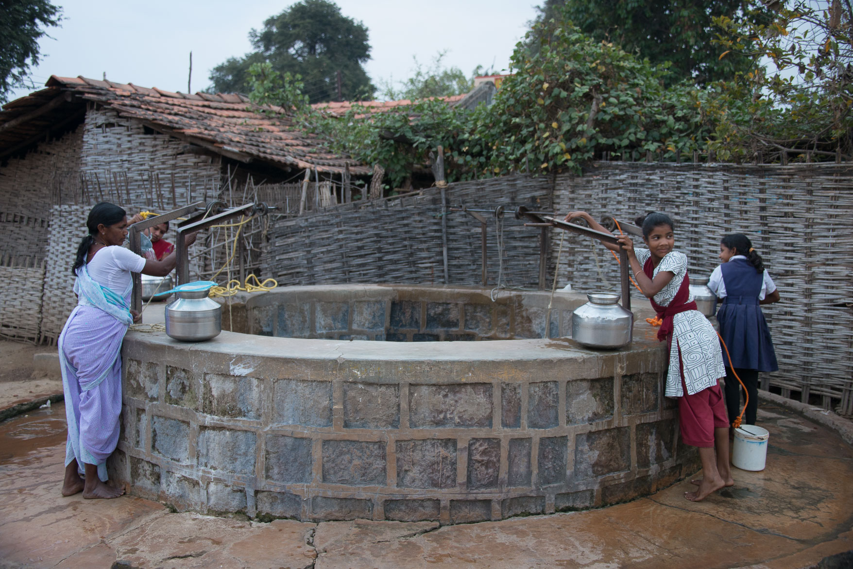 Tadoba-0165.jpg
