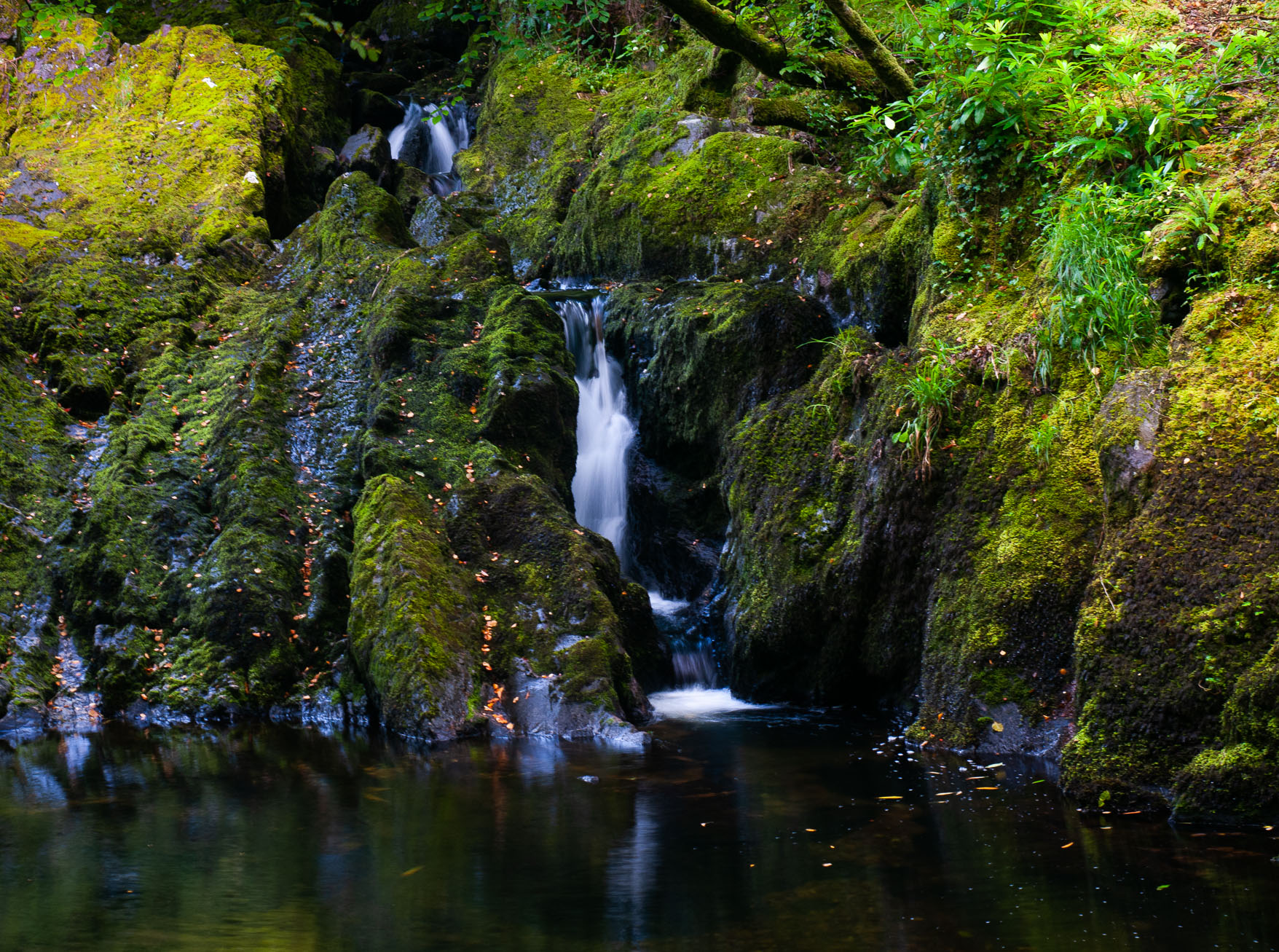 Irland-20100818535104498.jpg