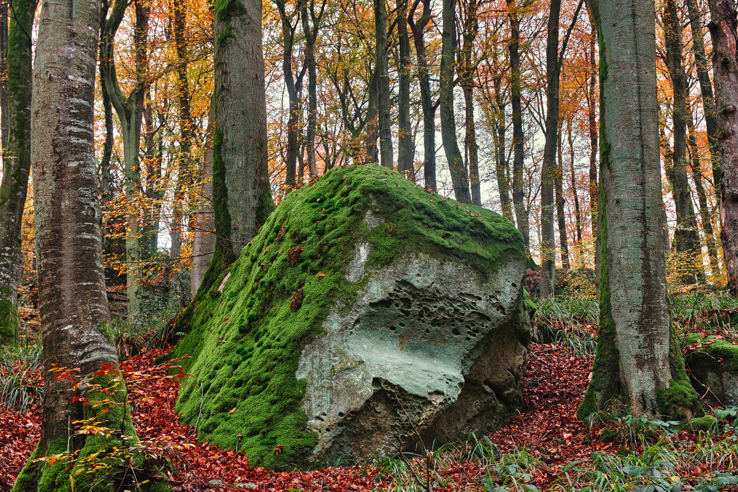 Luxemburg Luxemburg