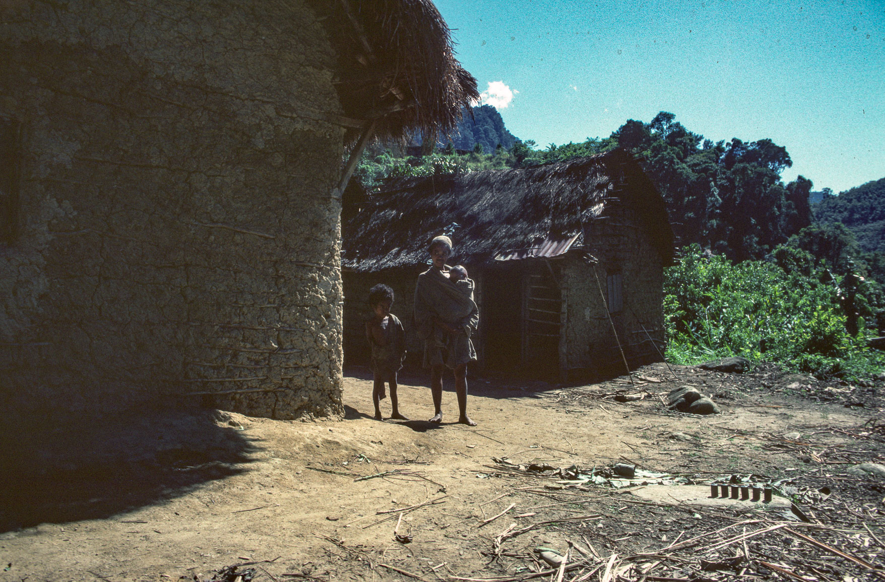 ranomafana5.jpg