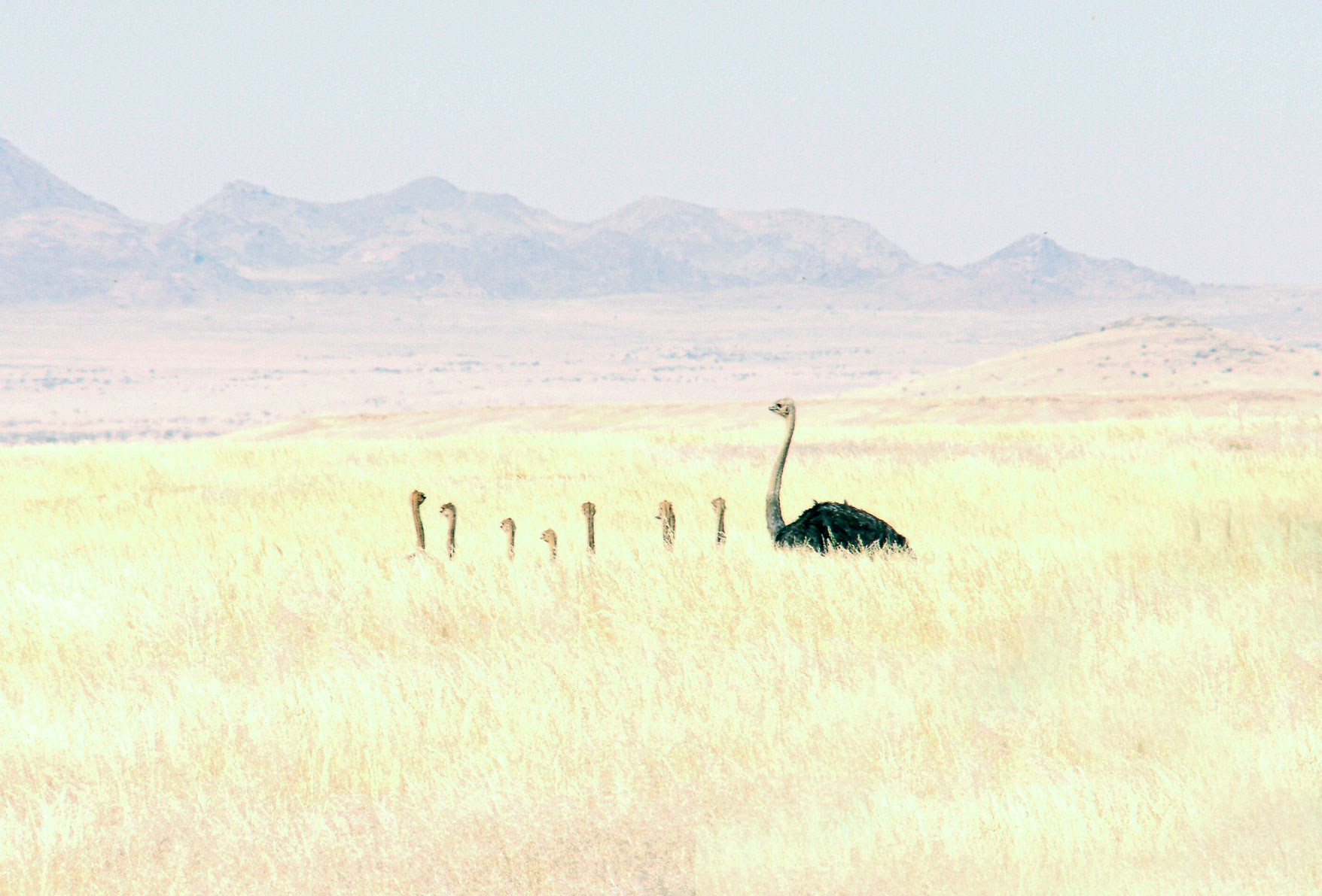 060811_112608_1_v1.jpg