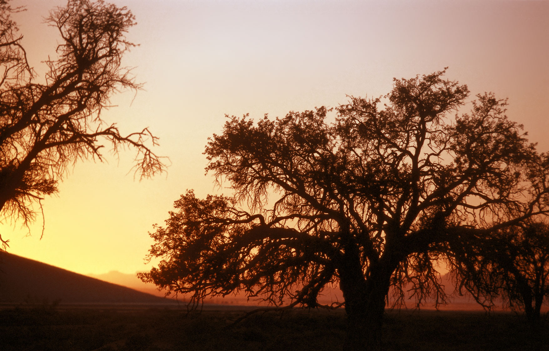 20070909-sossousvlei01b.jpg