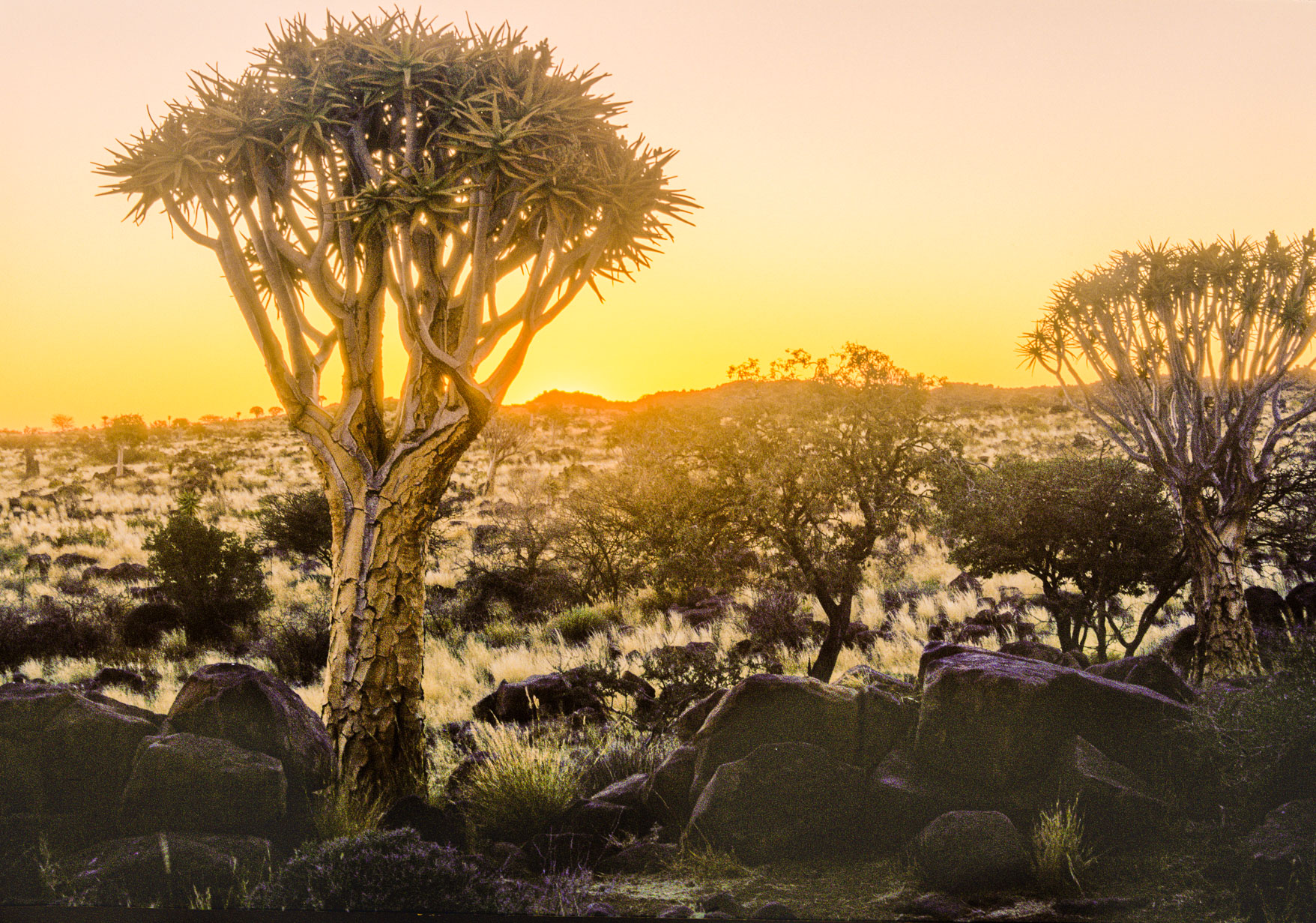 Namibia041.jpg