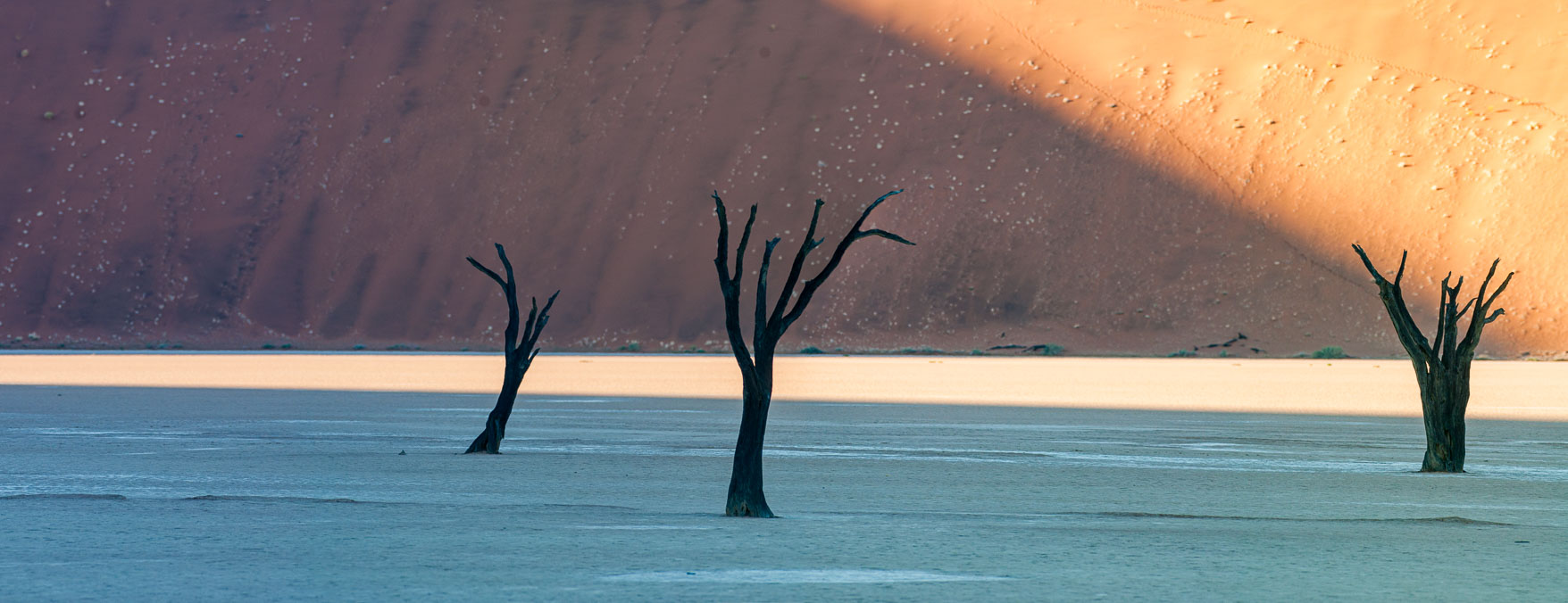 _N126364-Pano.jpg