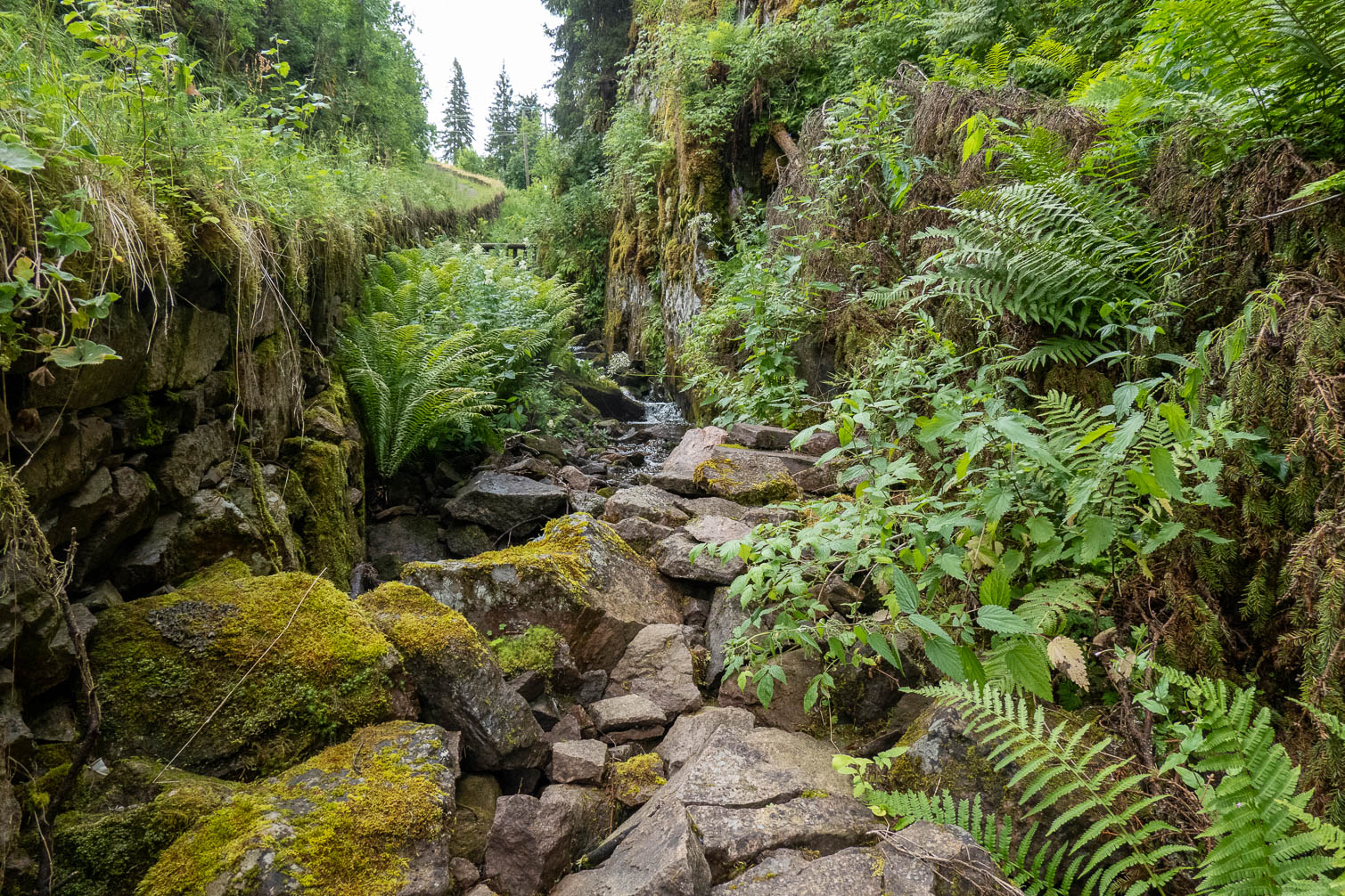 RX_00429.jpg