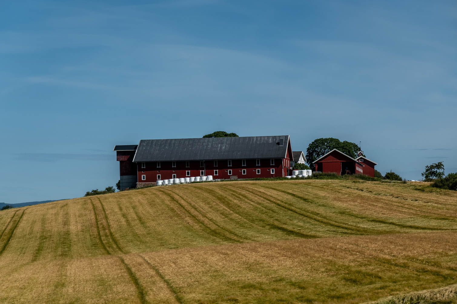 RX_00555-HDR.jpg