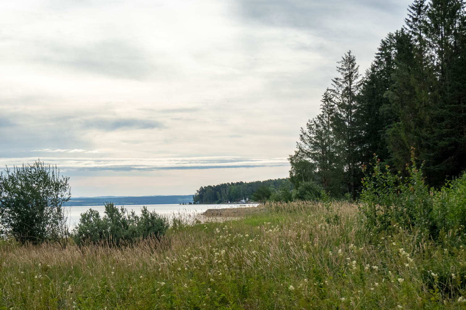 RX_00698-HDR.jpg