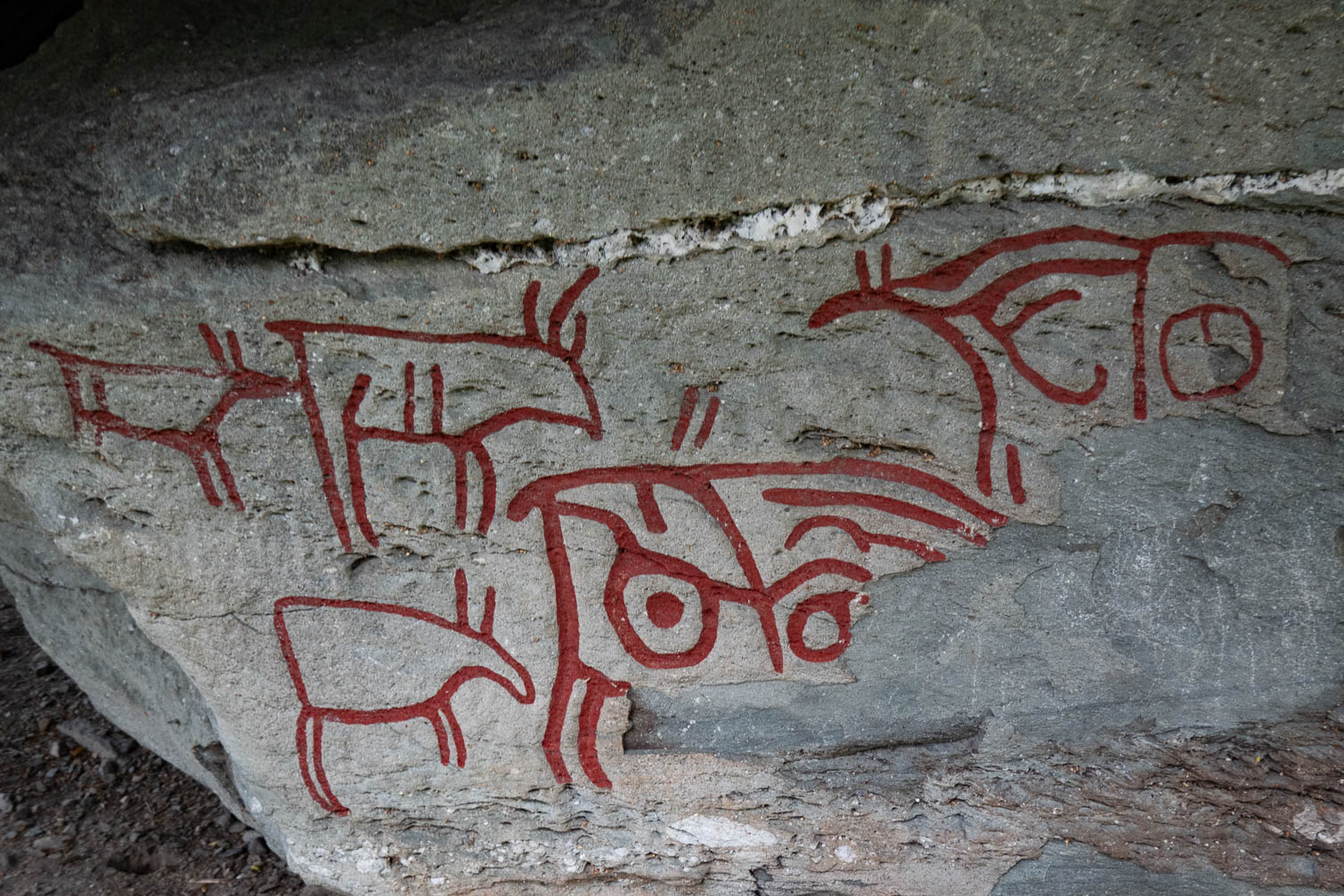 RX_00845.jpg