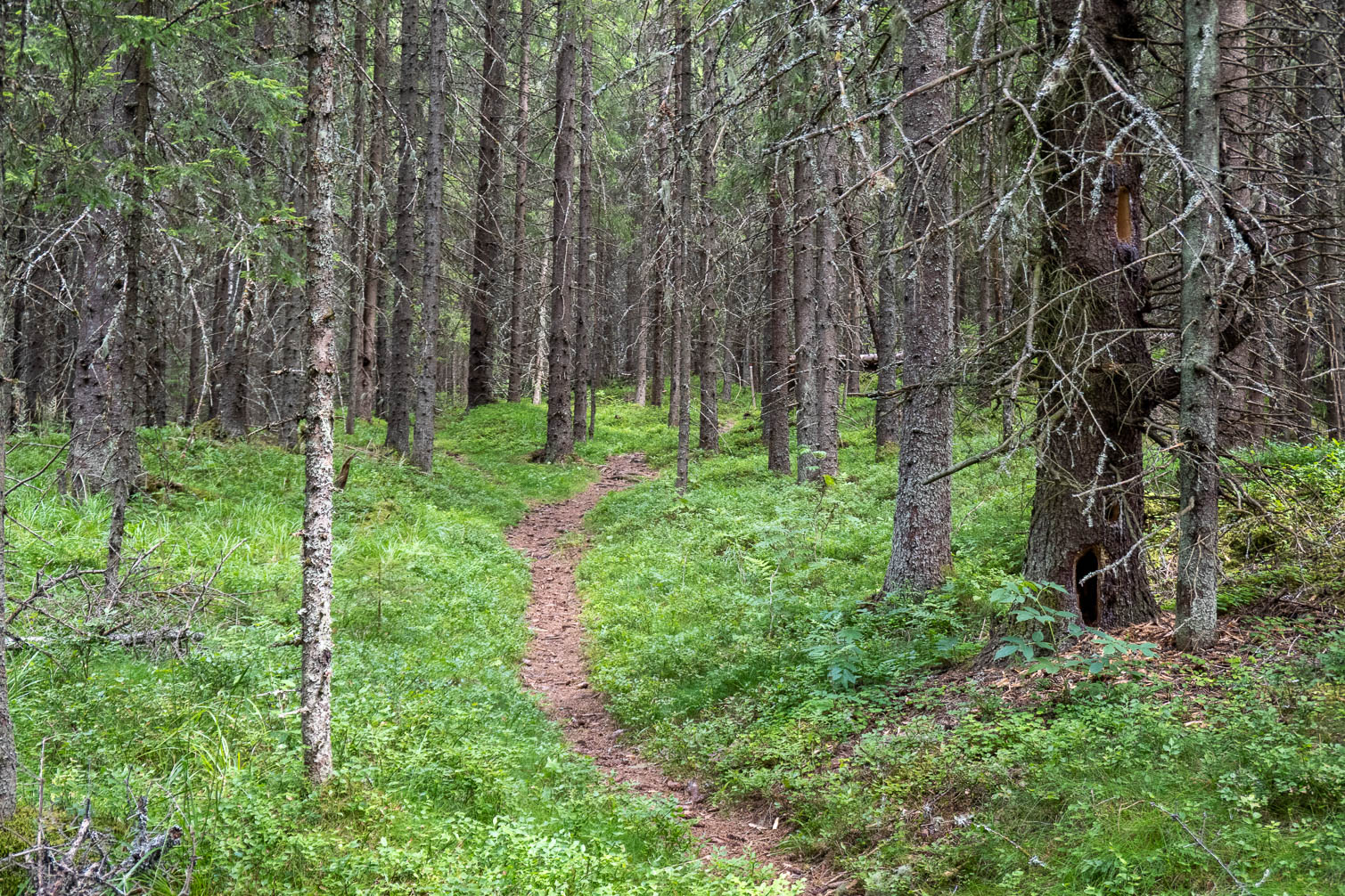 RX_00979-HDR.jpg