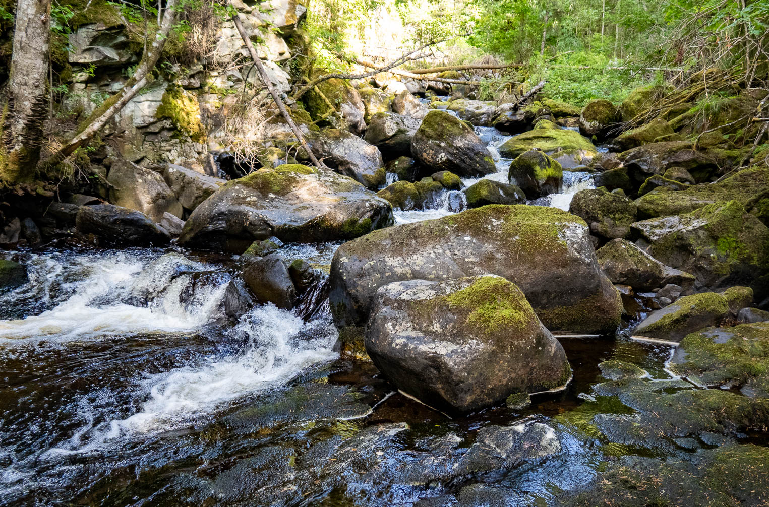 RX_01060-HDR.jpg