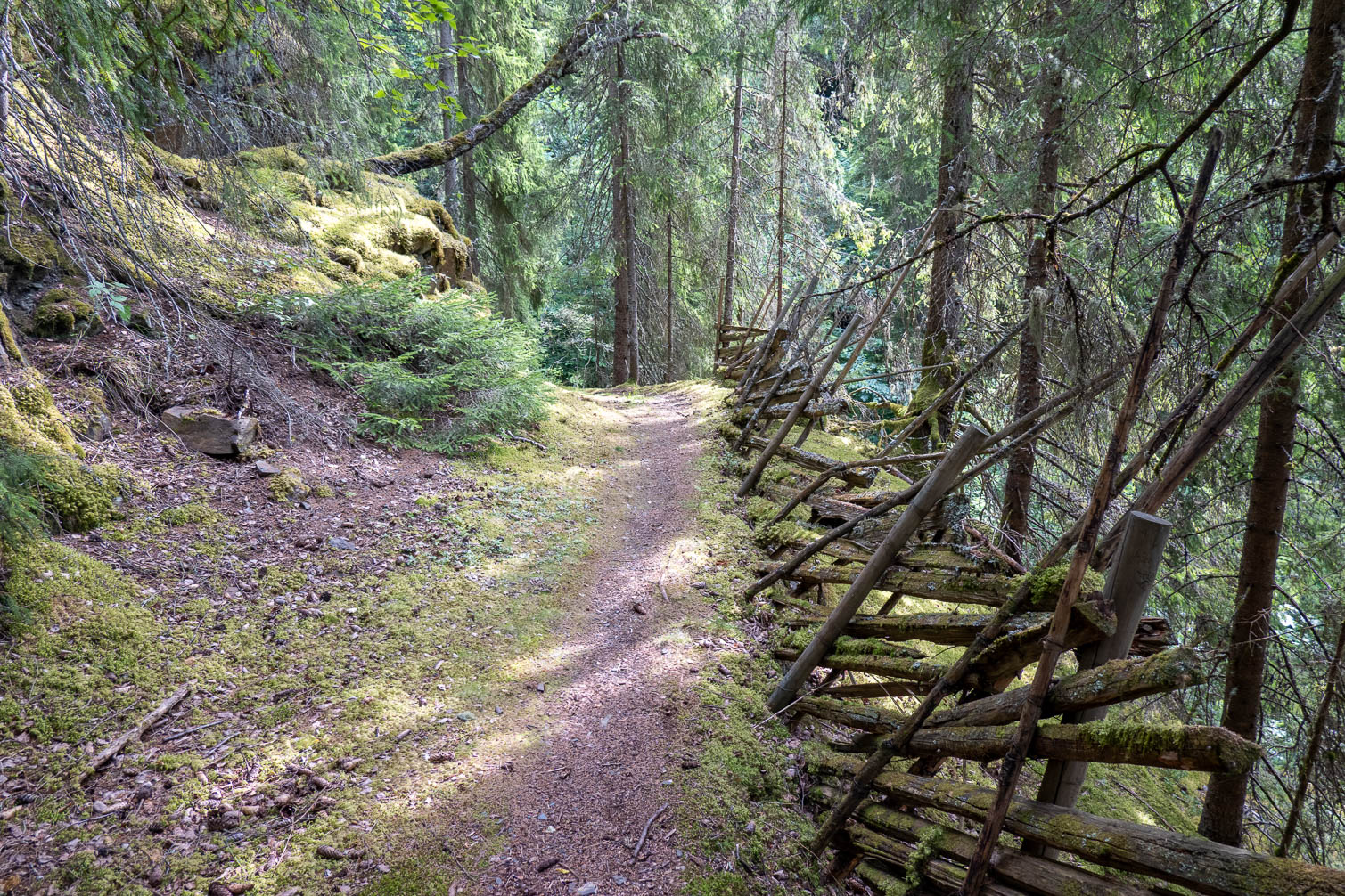RX_01109-HDR.jpg
