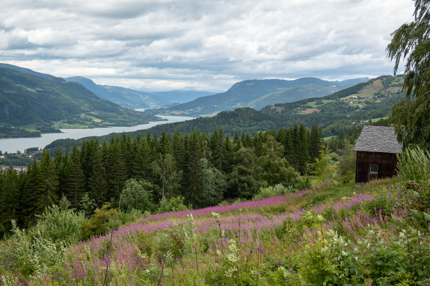 RX_01169-HDR.jpg