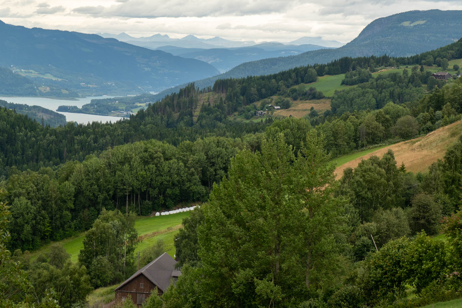 RX_01175-HDR.jpg