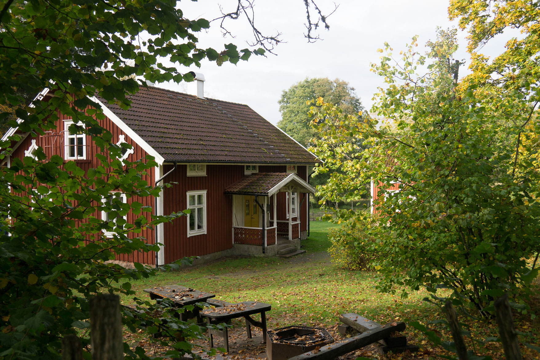 DSC00522.jpg