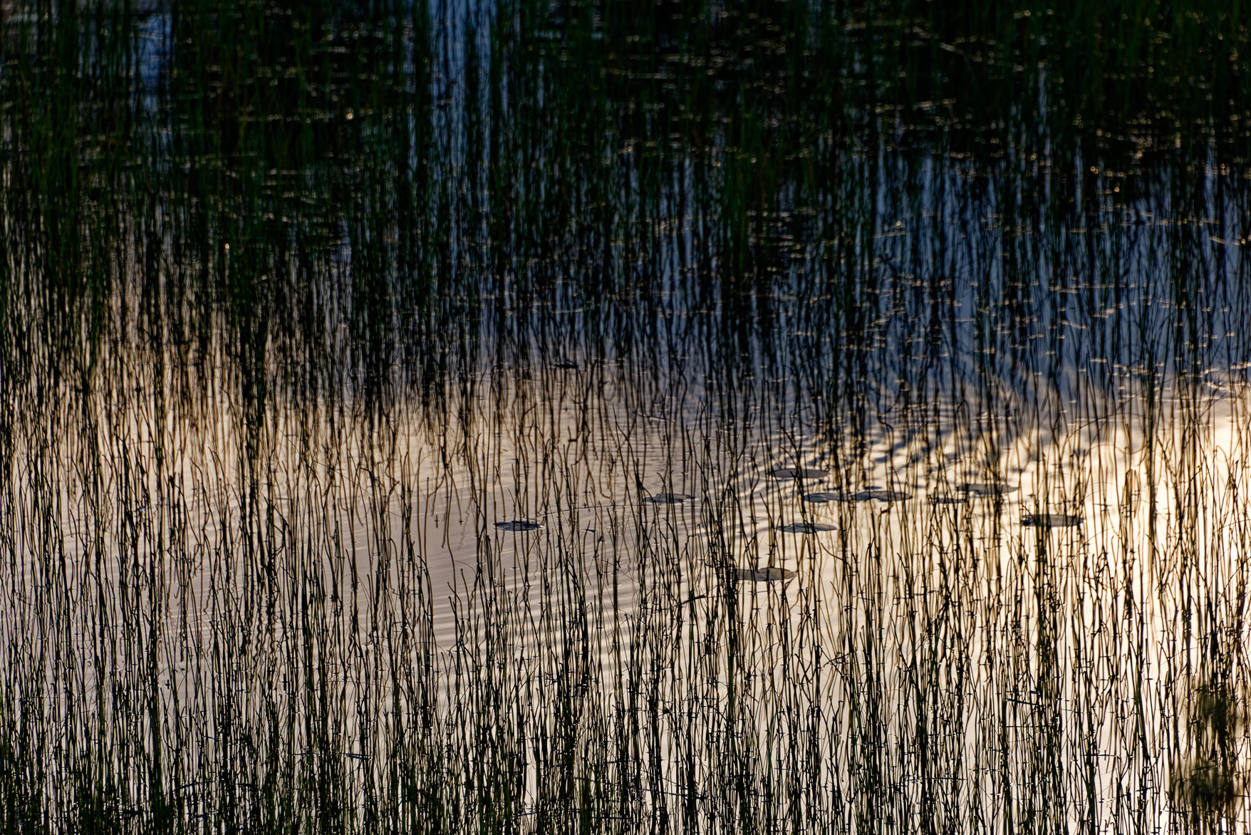 _SMA0807_DxO.jpg