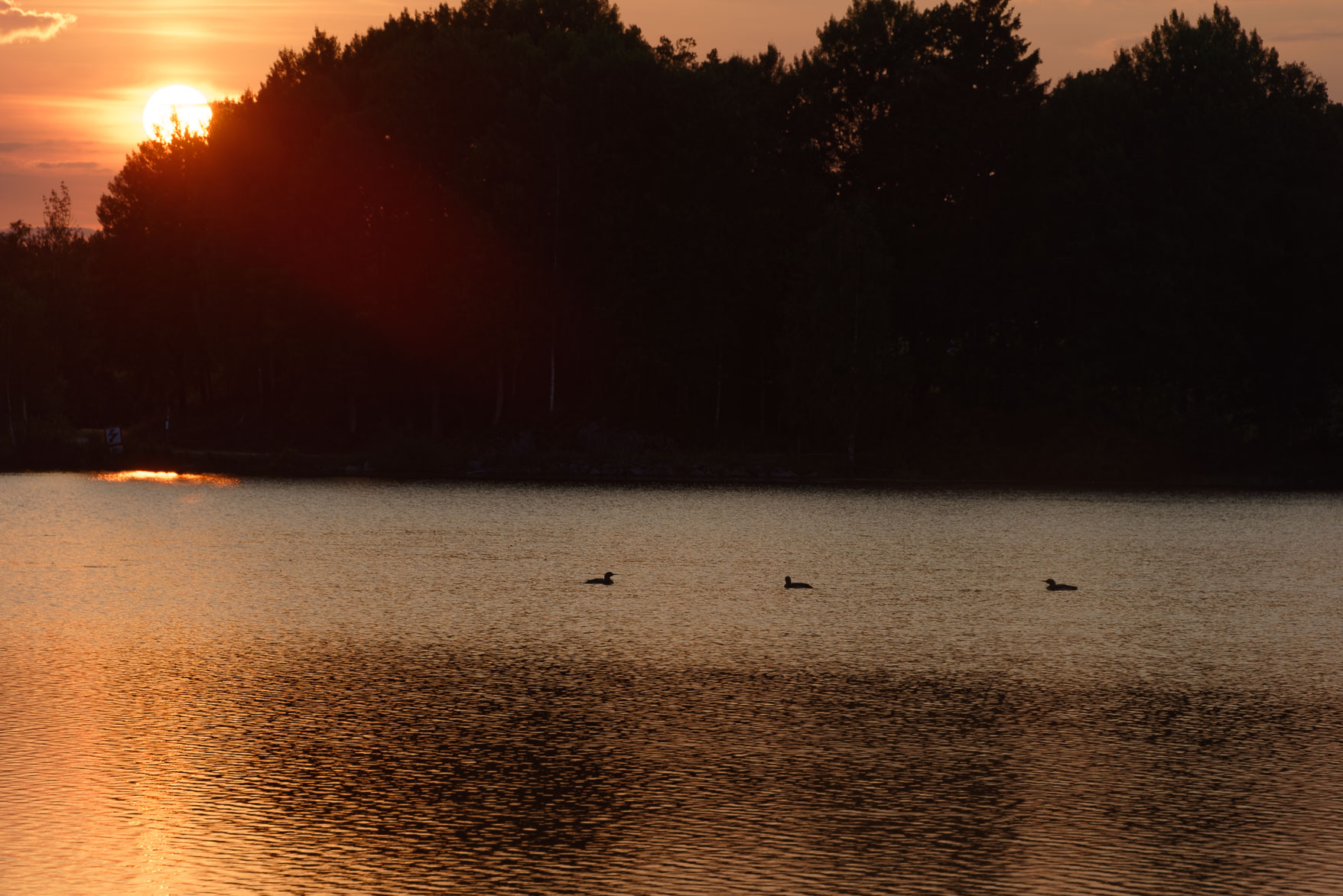 _SMA0990_DxO.jpg