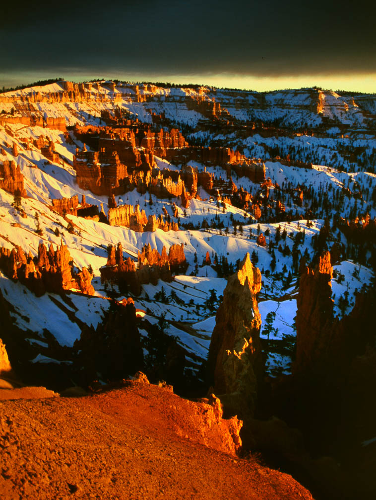 bryce.jpg