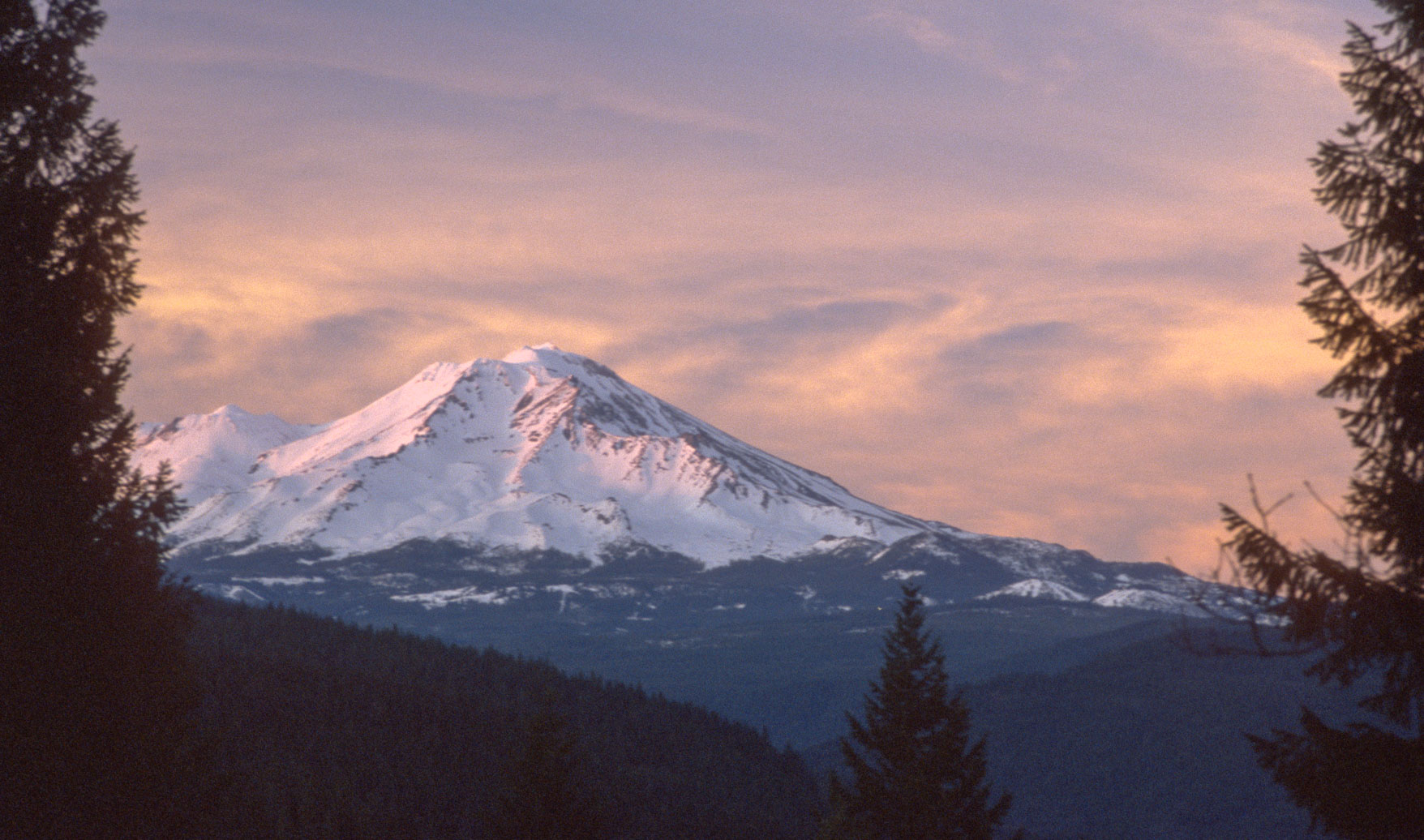 Calfilm008.jpg