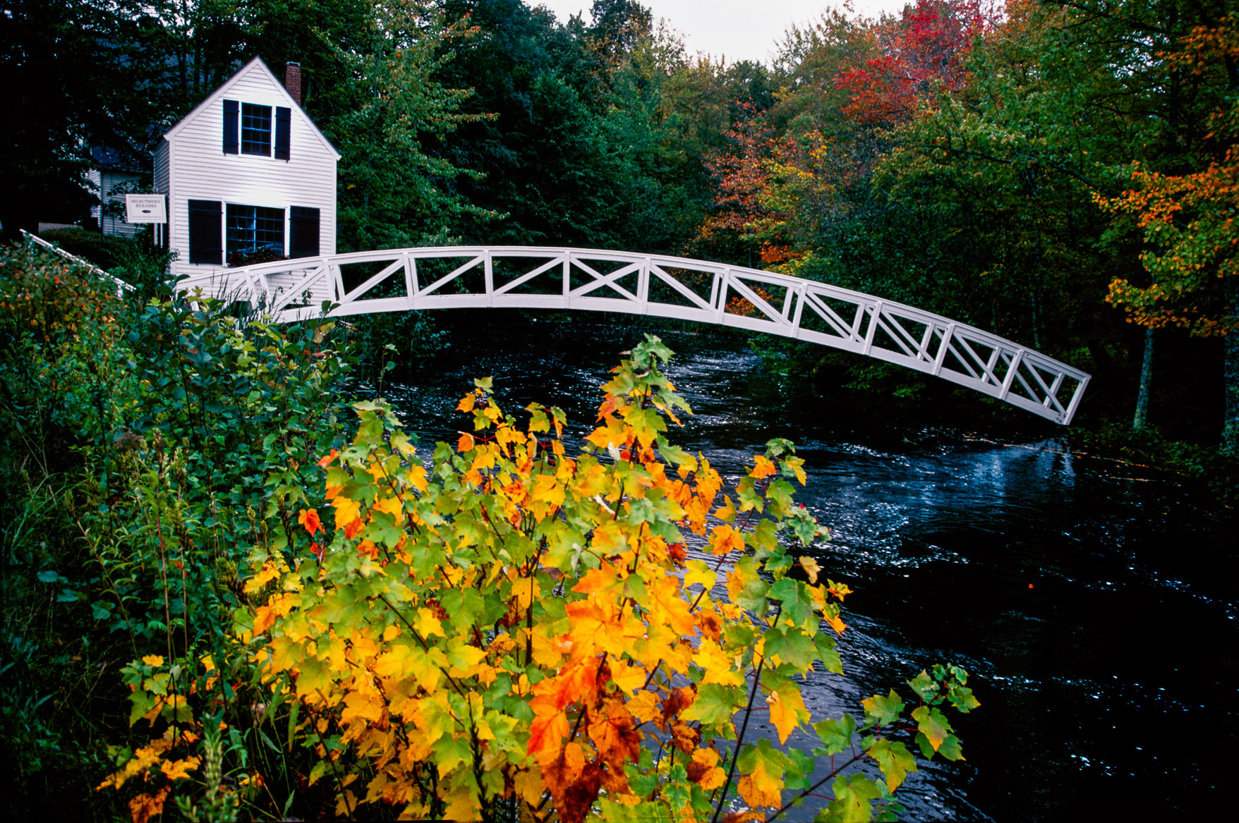 acadia1.jpg