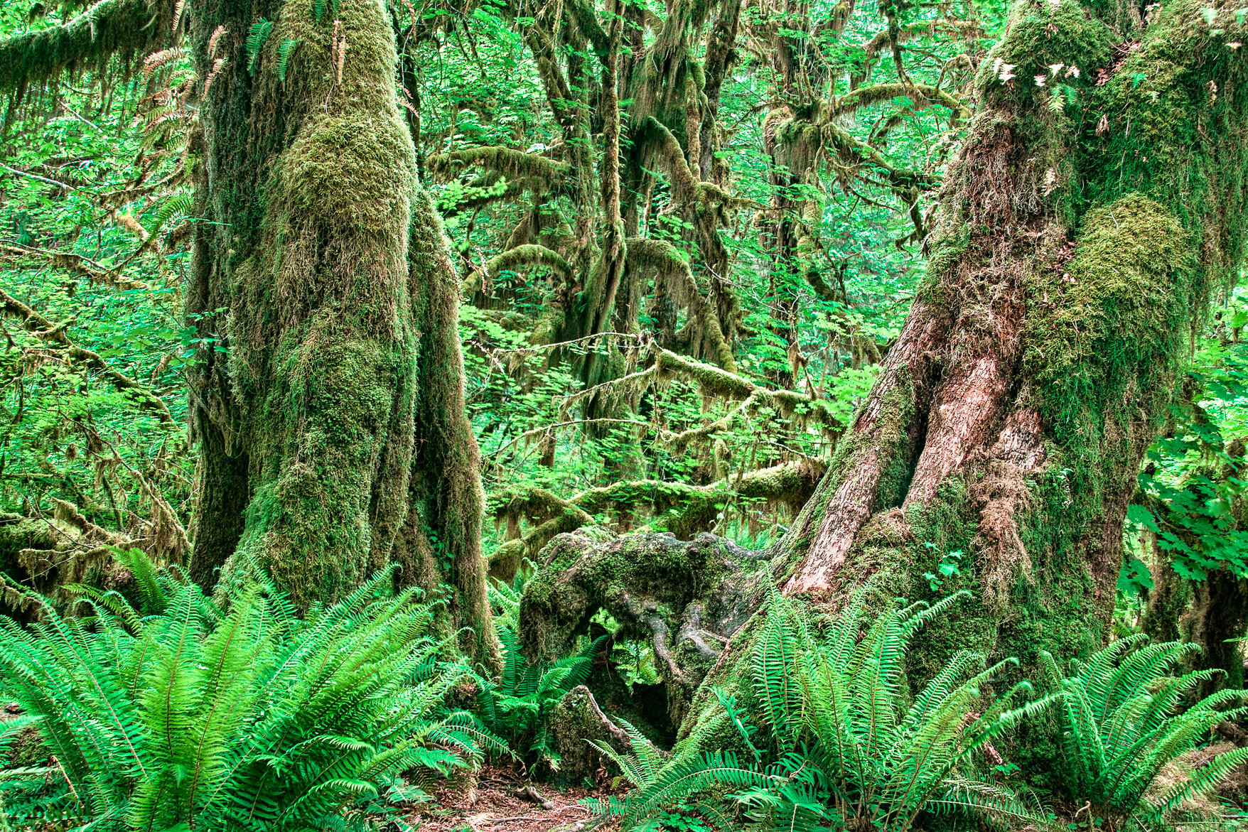 Washington_Oregon_SD-8684.jpg