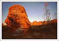Bungle-Bungle