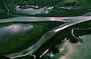Skjerffe 14